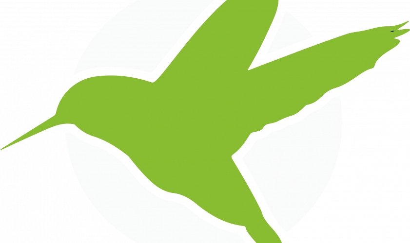 logo_Koli2